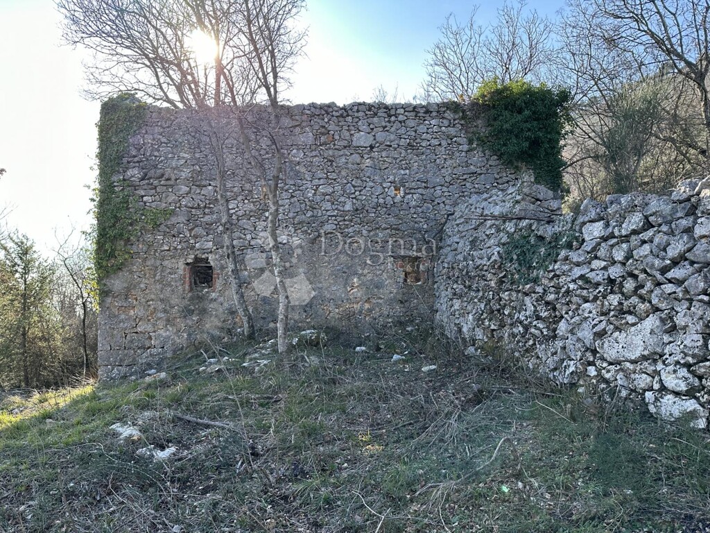 Image 25