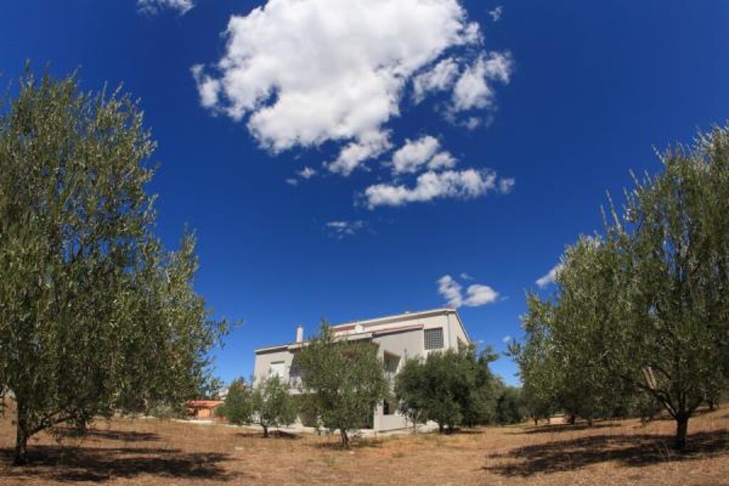 Image 3811442 - 3