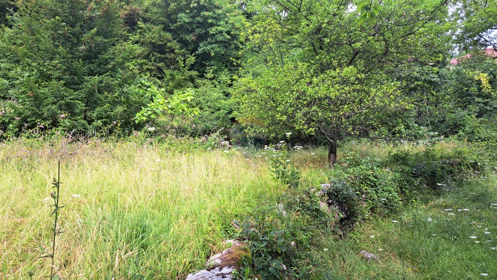 Image 5429440 - 10