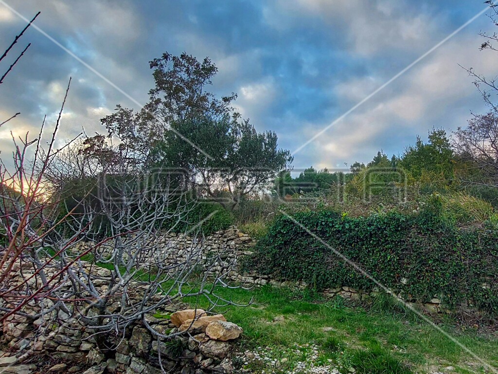 Image 13