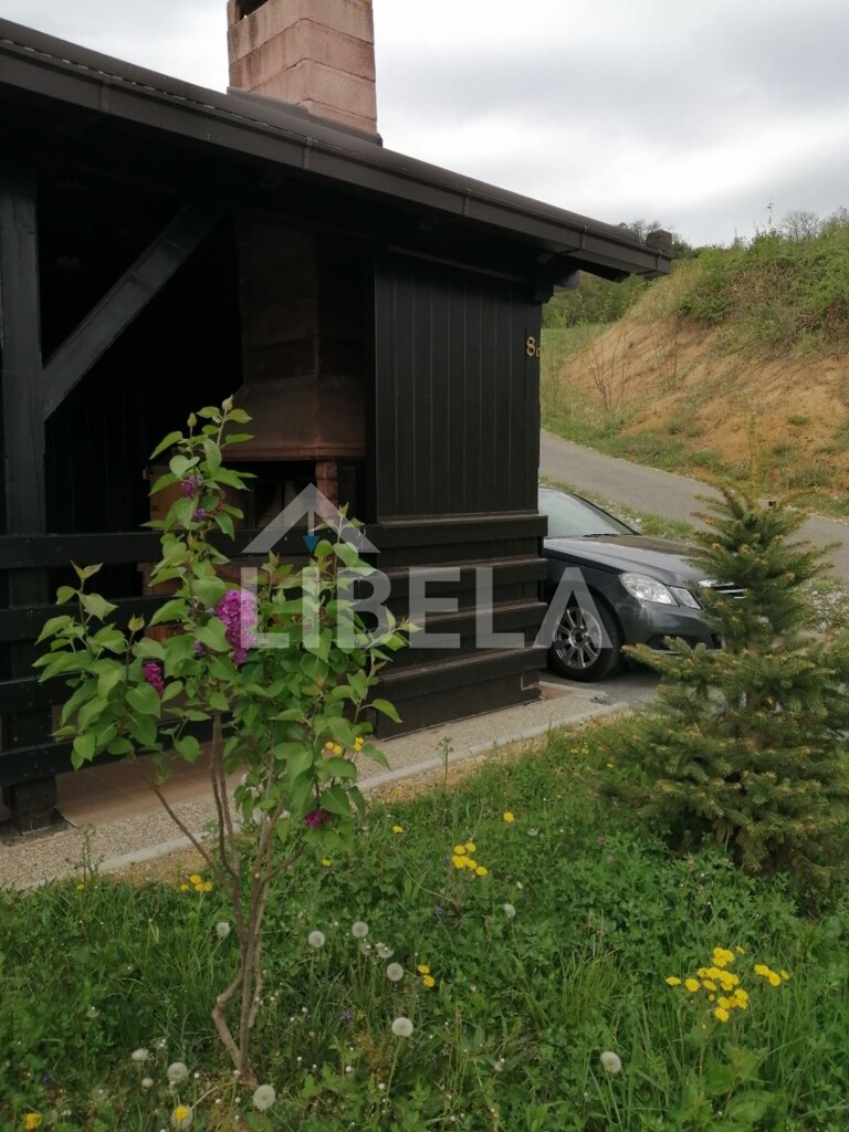 Image 11