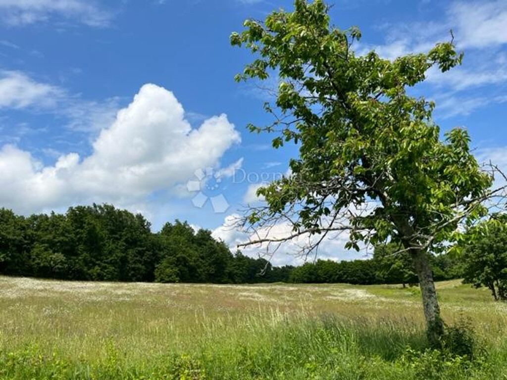 Image 14