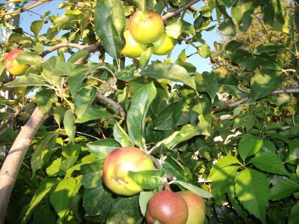 Image 3814504 - 9