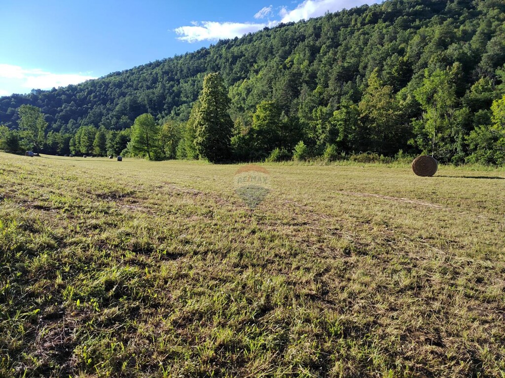Image 14