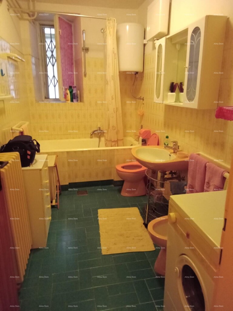 Image 12