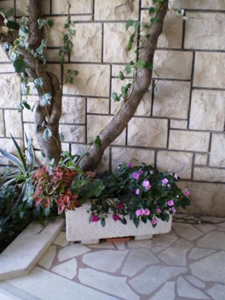 Image 3839002 - 5