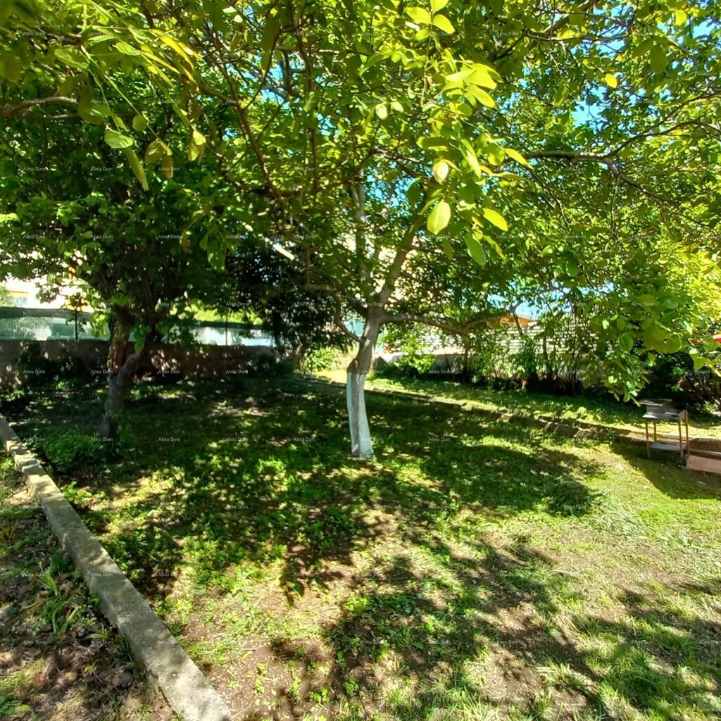 Image 18