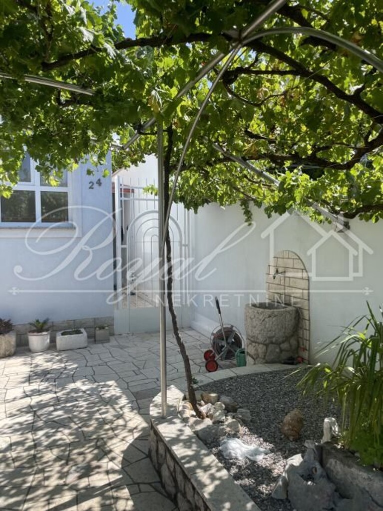 Image 15