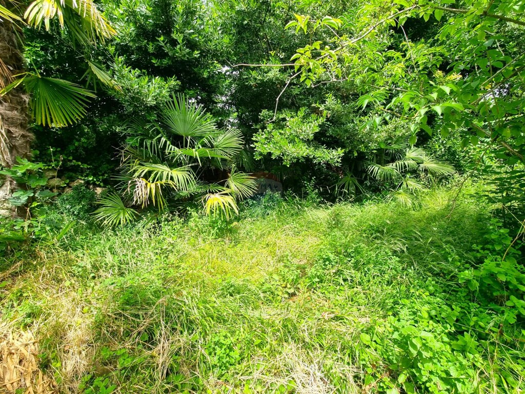 Image 20