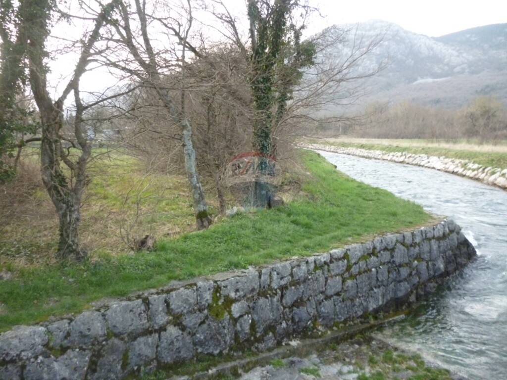 Image 5411063 - 1