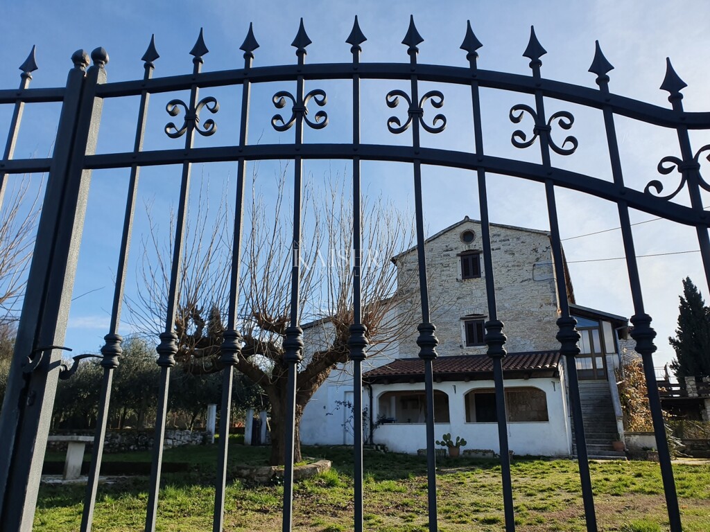 Image 9