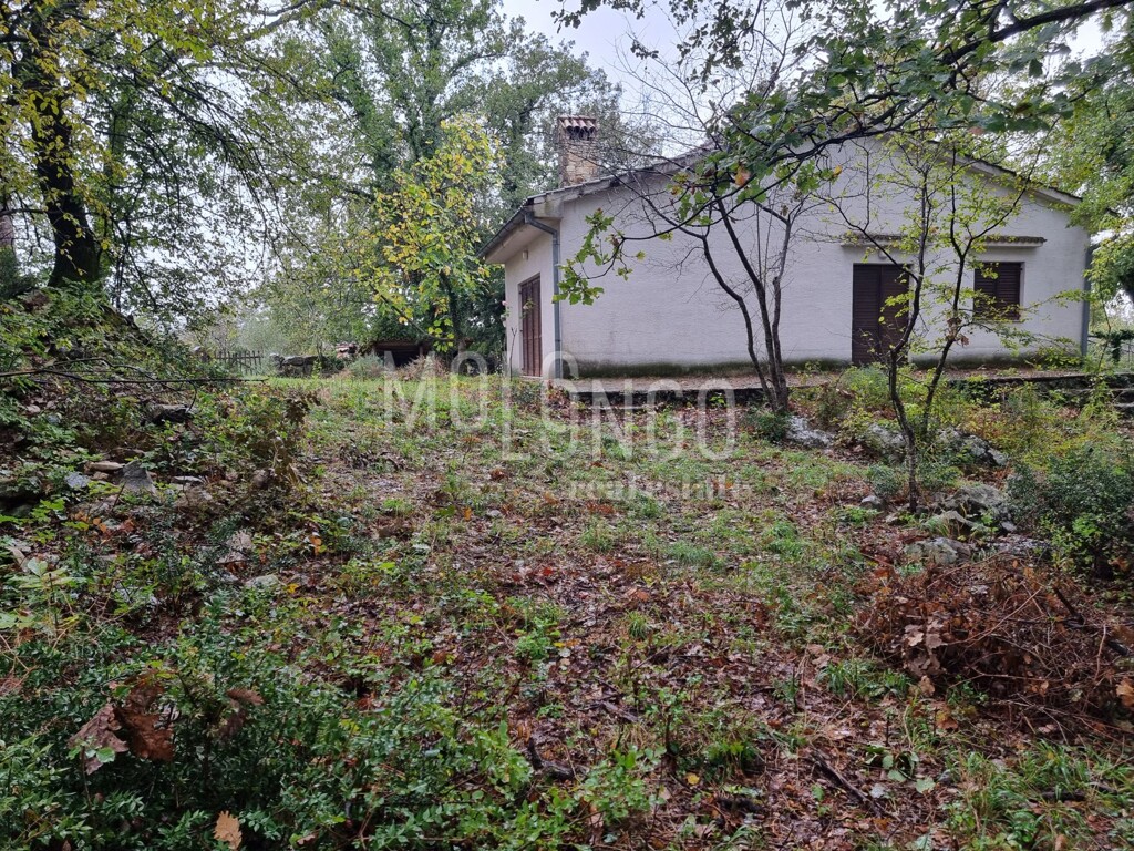 Image 9