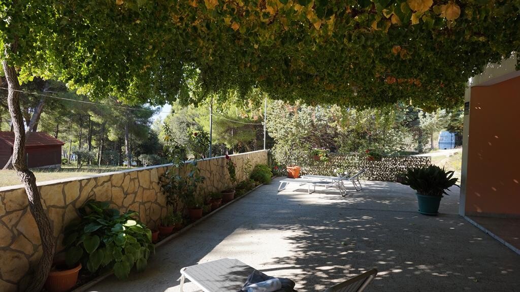 Image 3815017 - 9