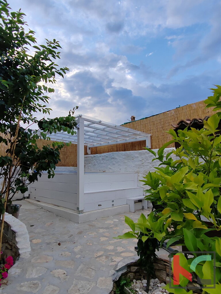 Image 10