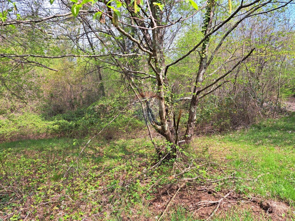 Image 5429984 - 5