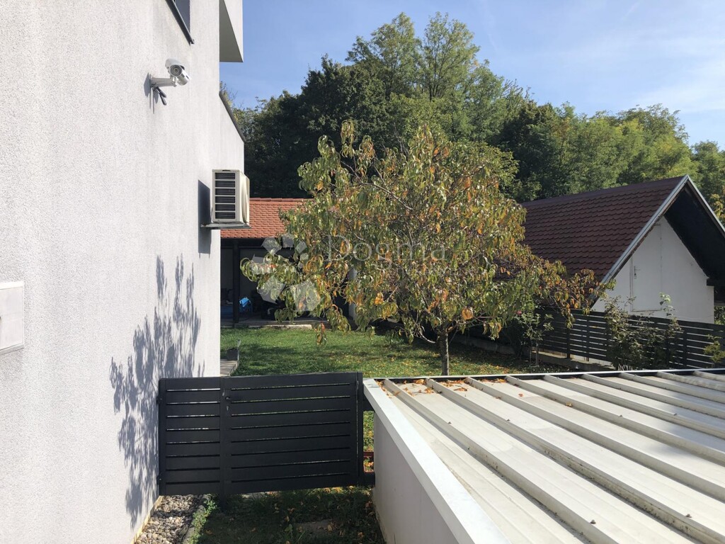 Image 13