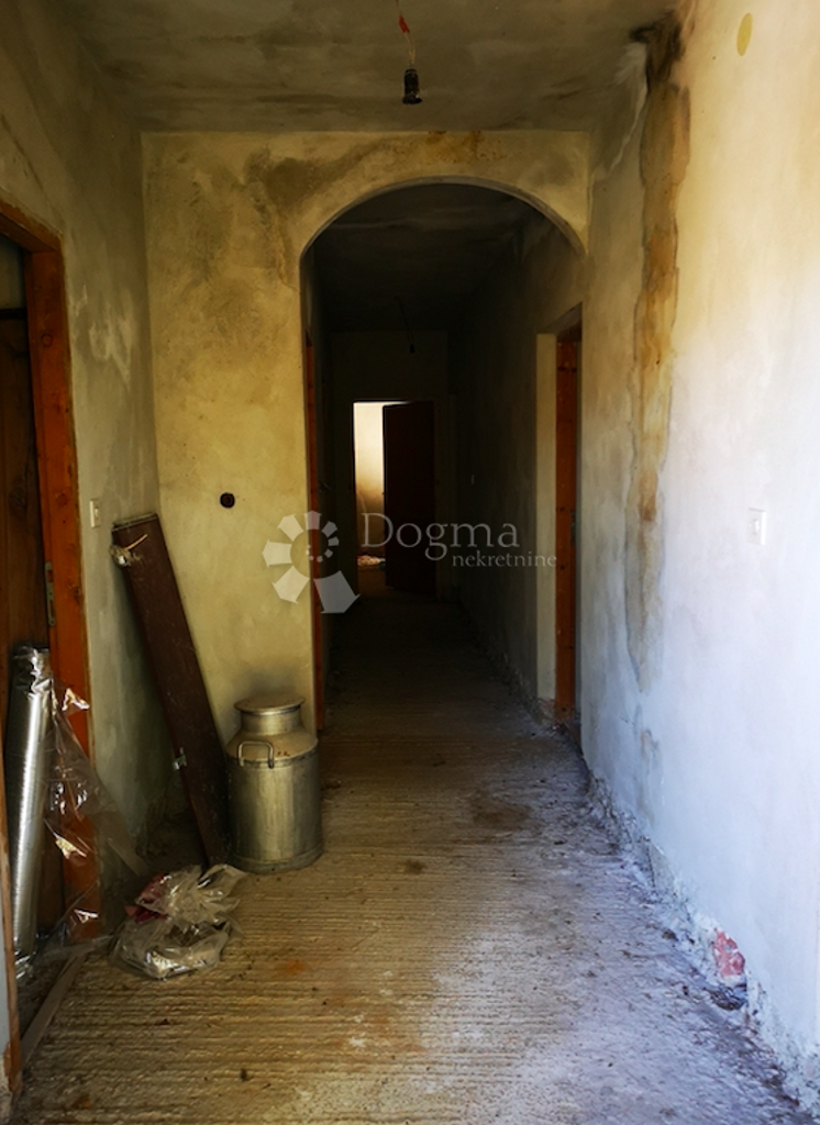 Image 15