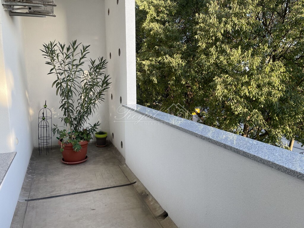 Image 15