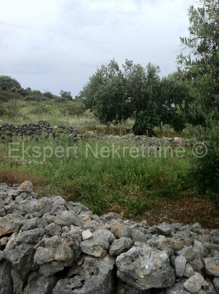 Image 3667477 - 2