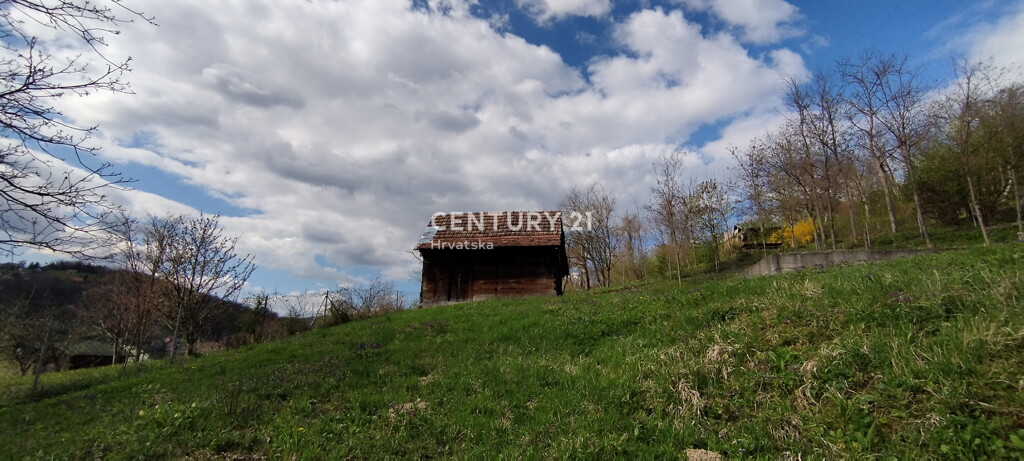 Image 9