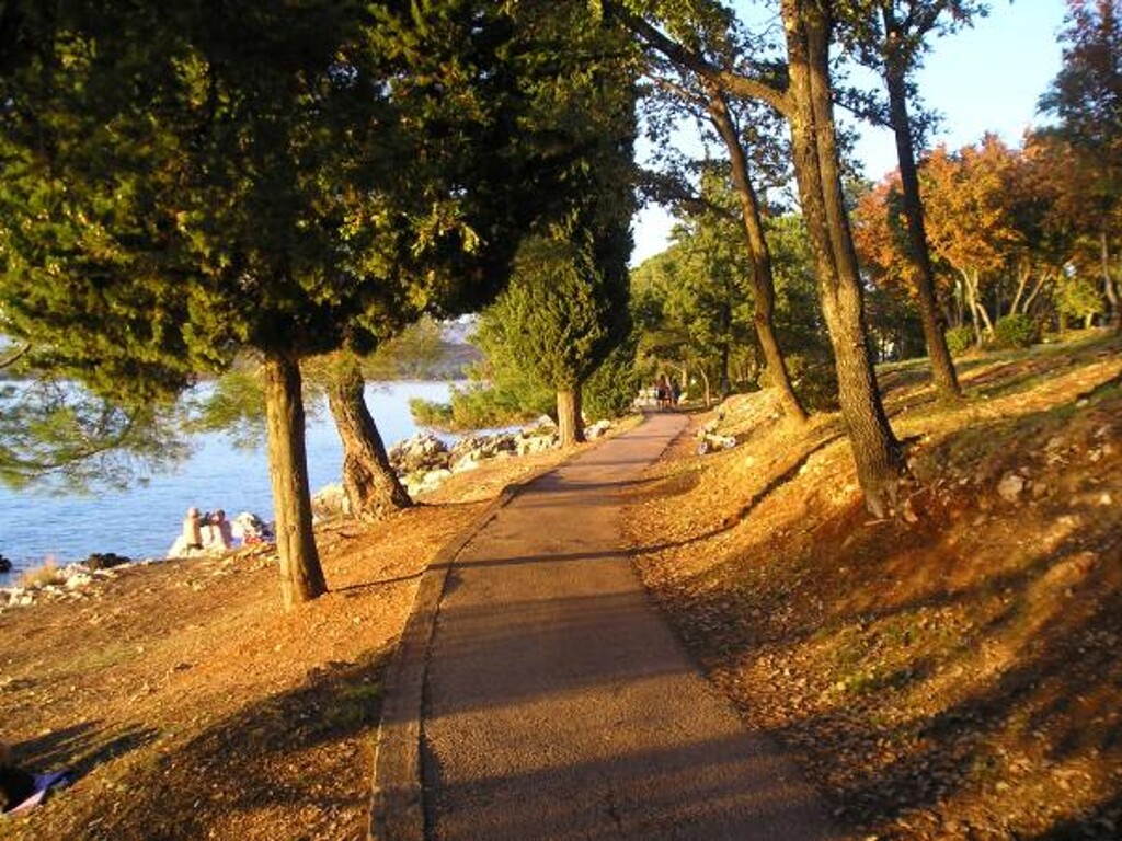 Image 3811435 - 3