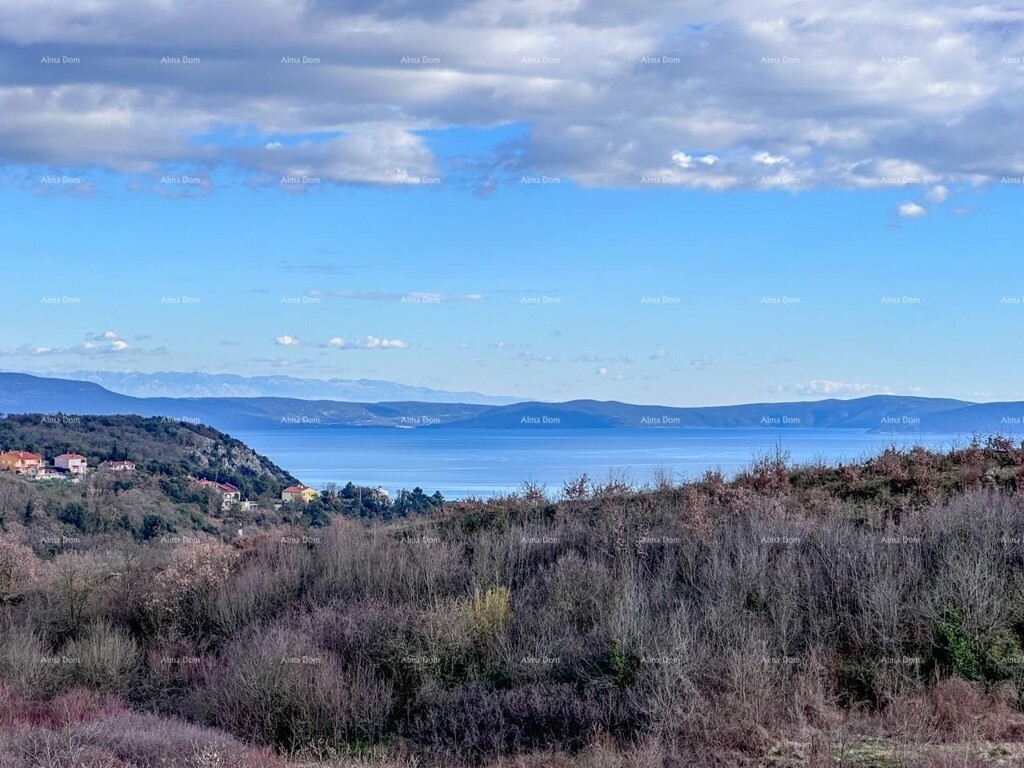 Image 15