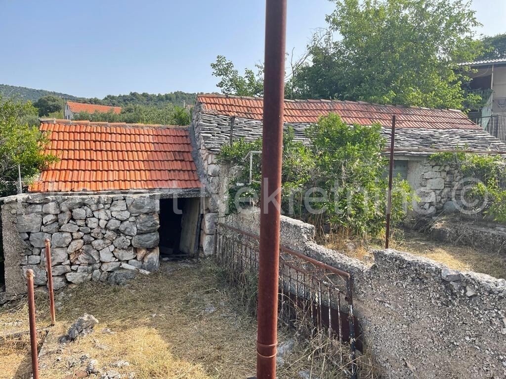 Image 13