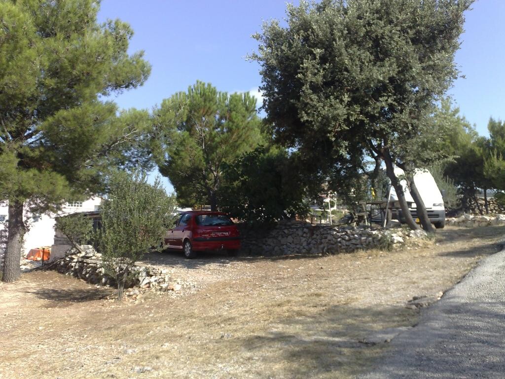 Image 31