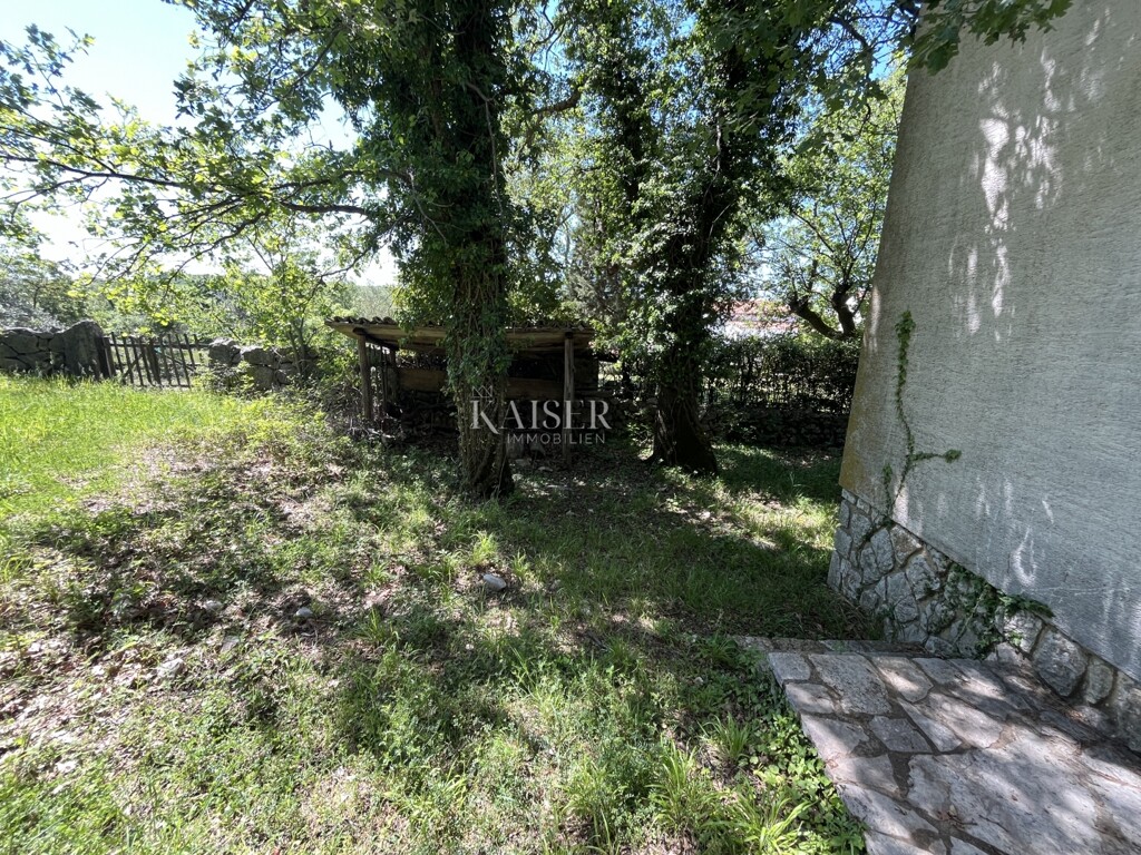 Image 21