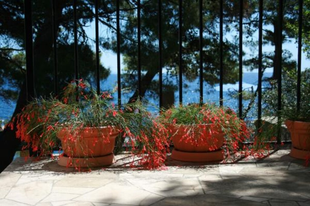 Image 3838511 - 5
