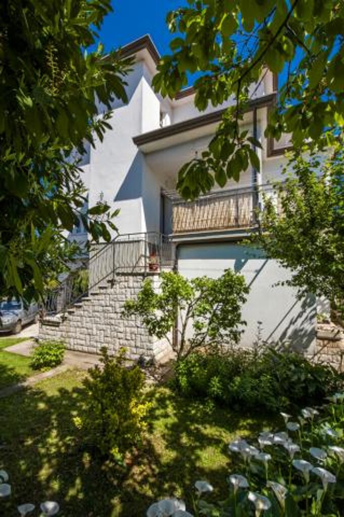 Image 3811230 - 10