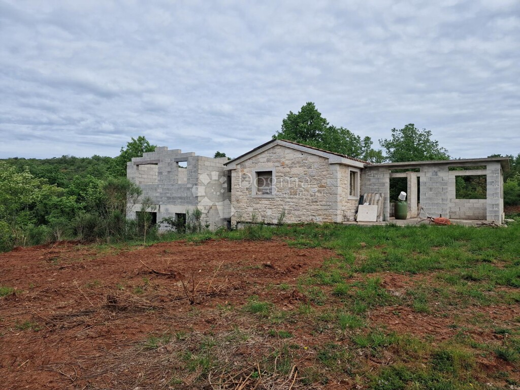 Image 13