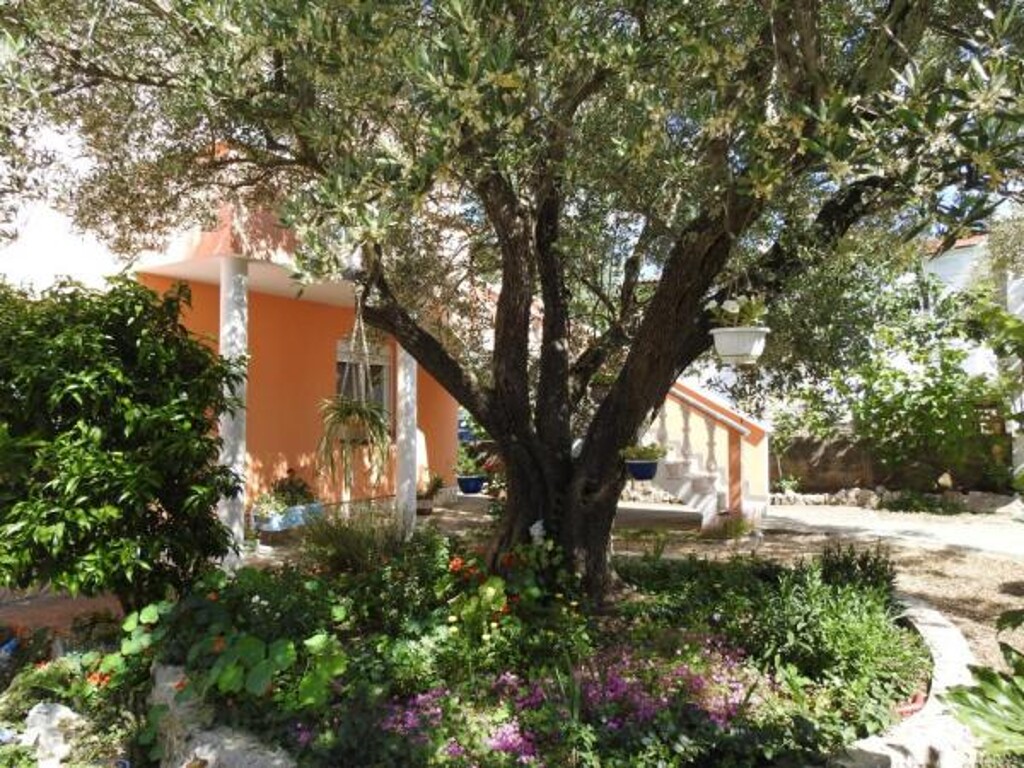Image 3813867 - 9