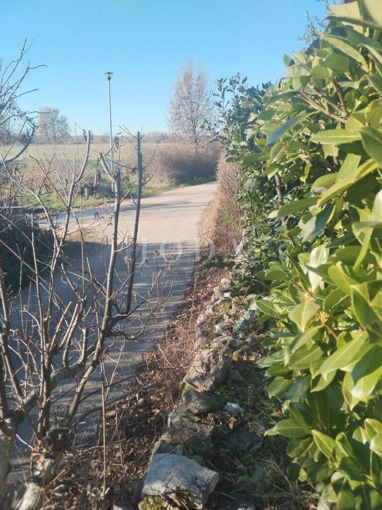 Image 19