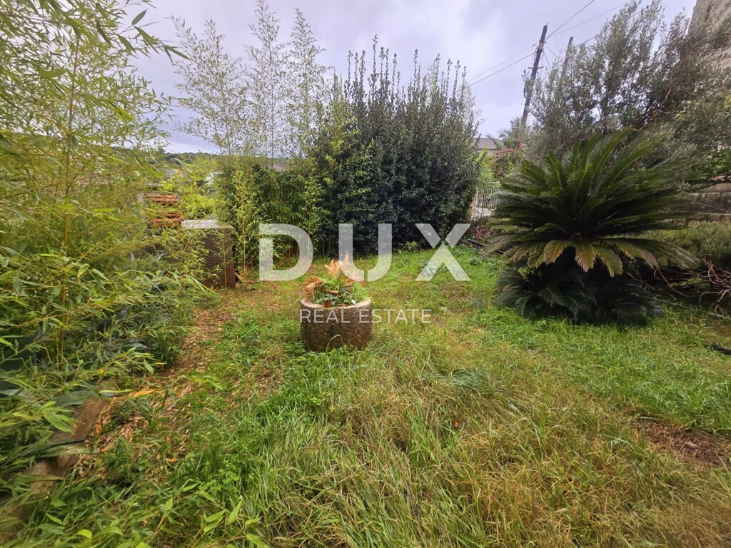 Image 13