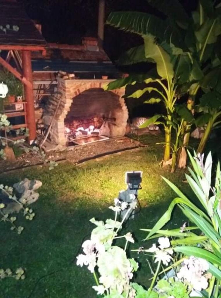 Image 31