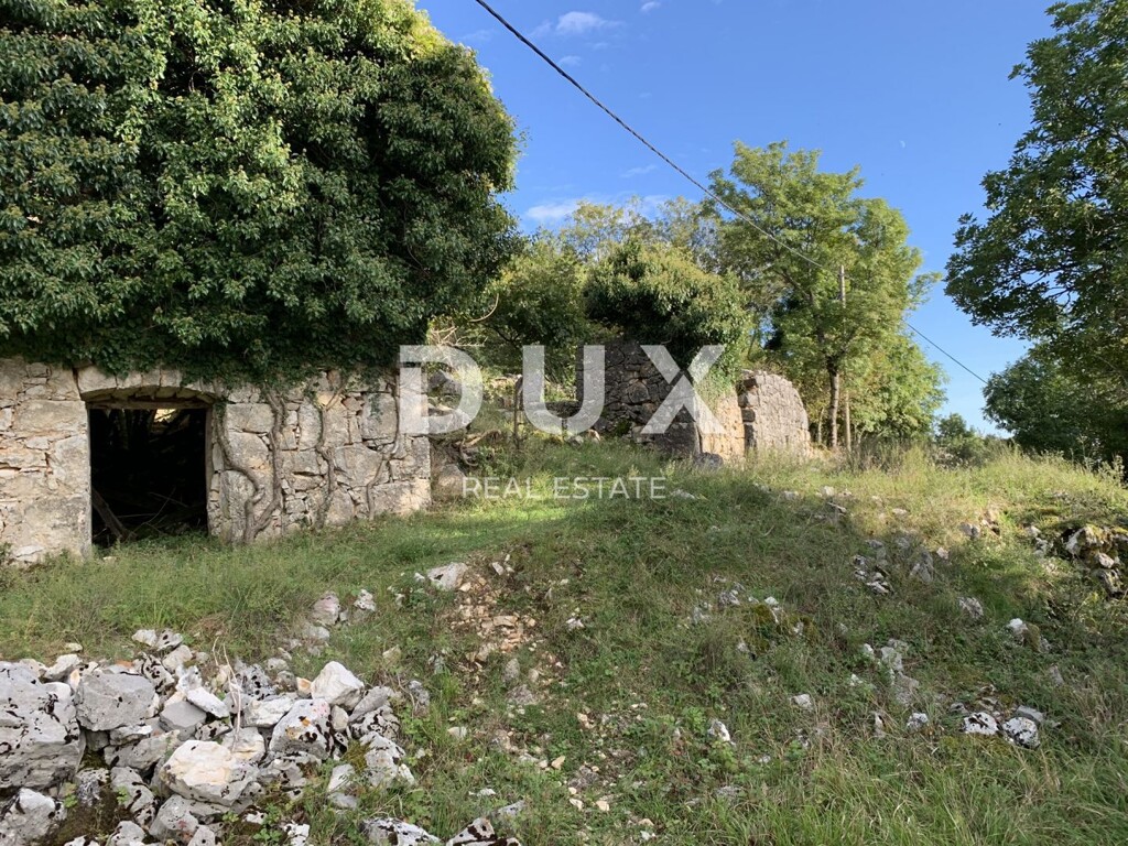 Image 9