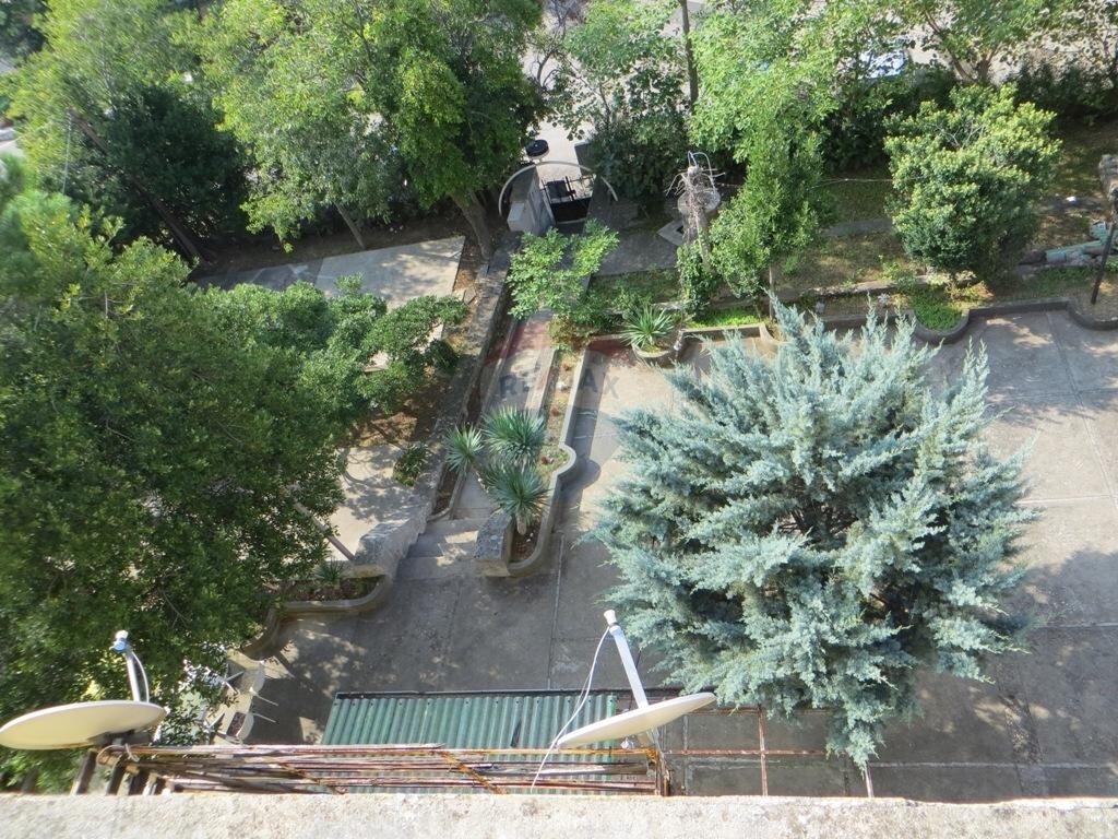 Image 5410969 - 11