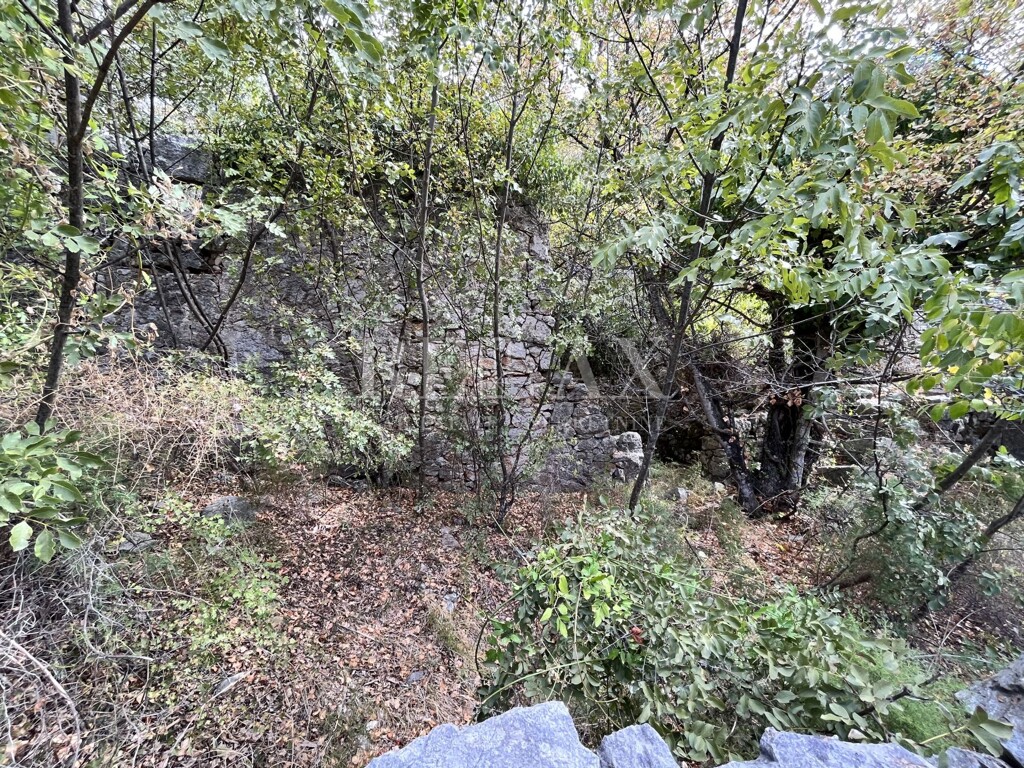 Image 14