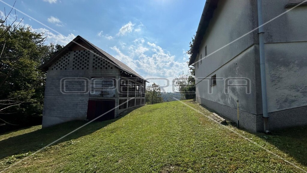Image 12