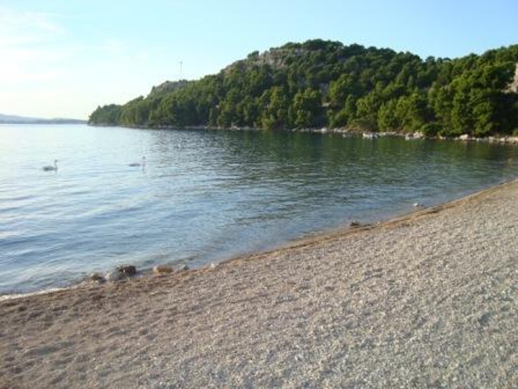 Image 3838514 - 11