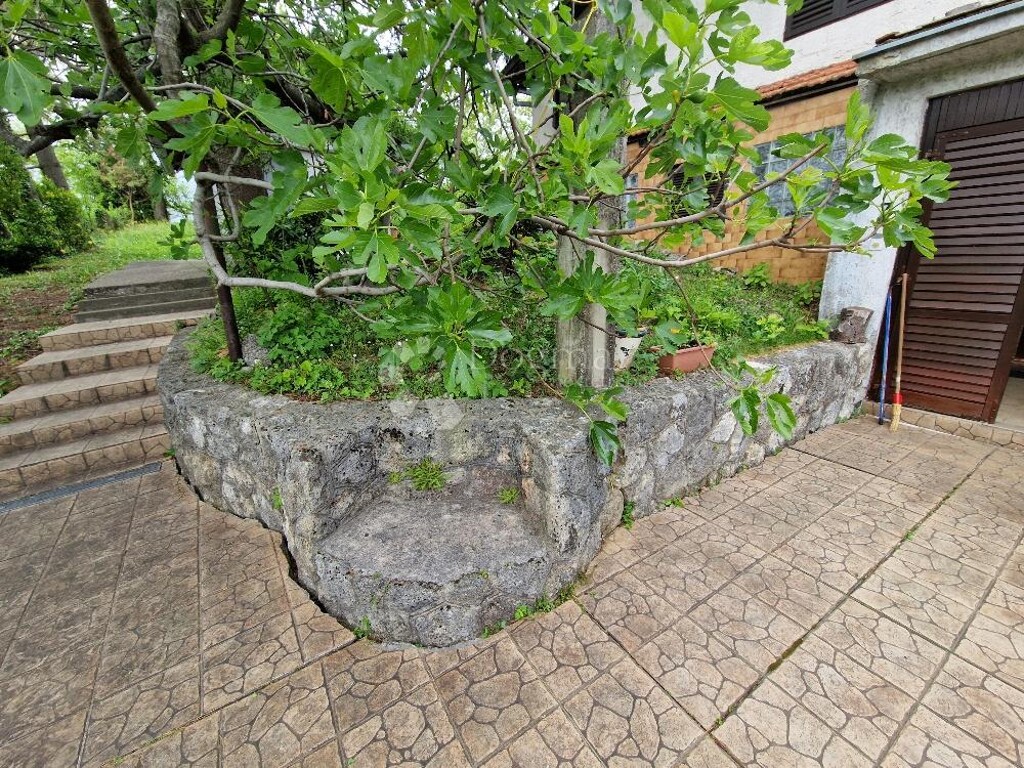Image 17