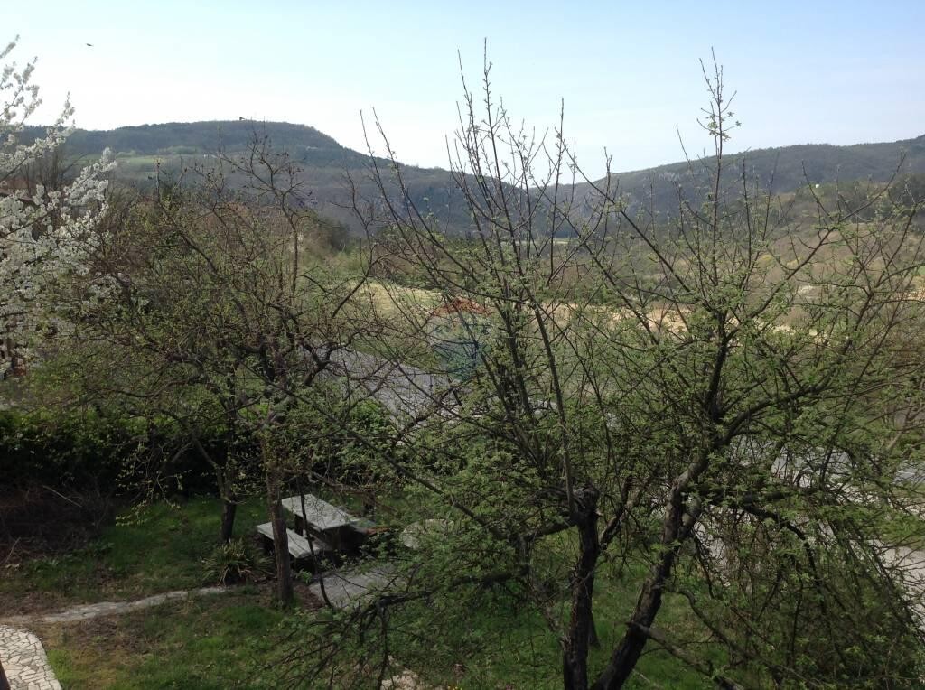 Image 5426686 - 7