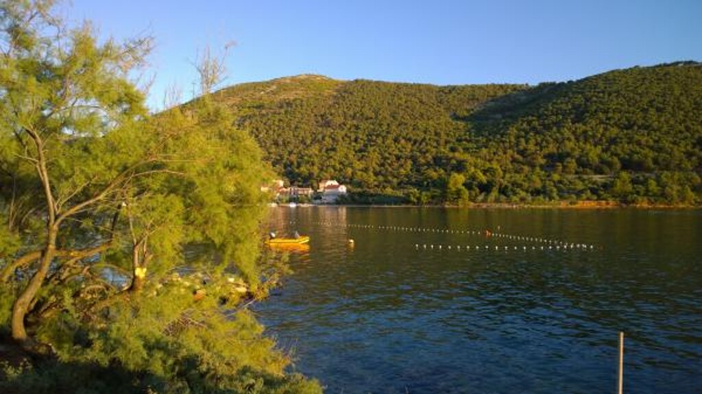 Image 3810644 - 27