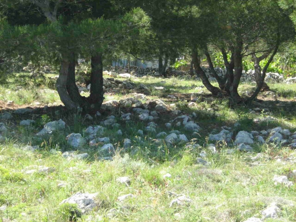 Image 4346506 - 6