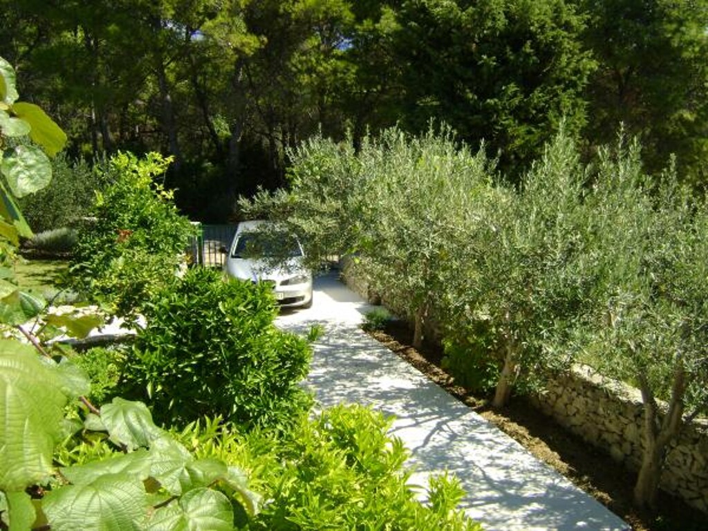 Image 3823106 - 20