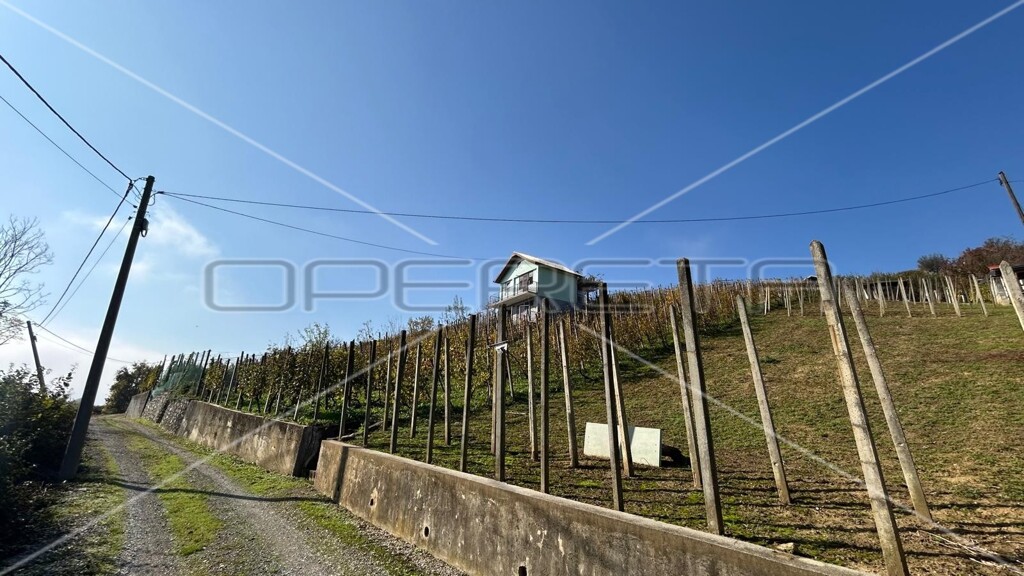 Image 14
