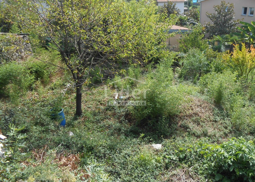 Image 6119086 - 10