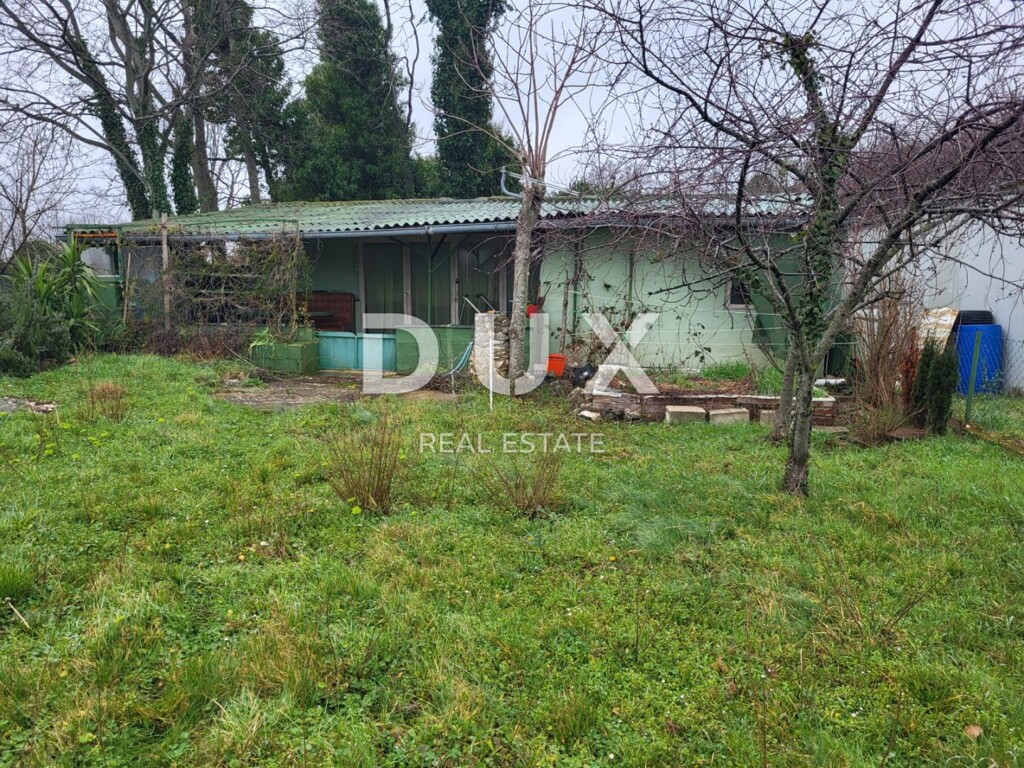 Image 15