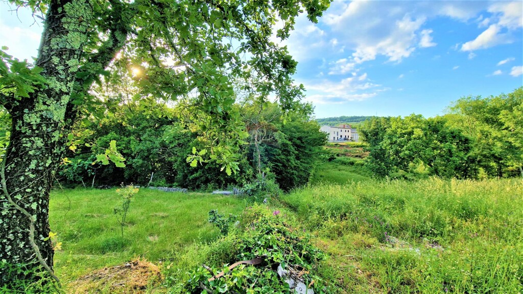 Image 5429793 - 1